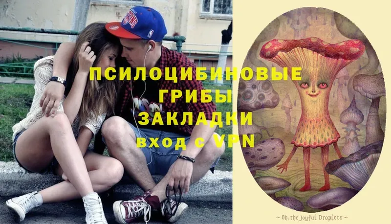 Псилоцибиновые грибы Psilocybine cubensis  даркнет сайт  Кунгур 